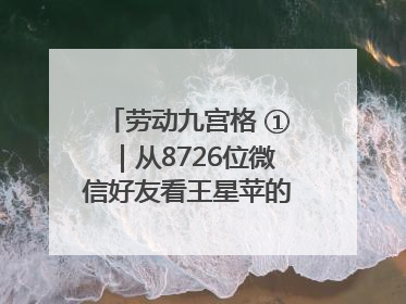 劳动九宫格 ①｜从8726位微信好友看王星苹的公益信仰与坚持