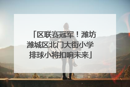 区联赛冠军！潍坊潍城区北门大街小学排球小将扣响未来