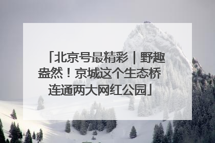 北京号最精彩｜野趣盎然！京城这个生态桥连通两大网红公园