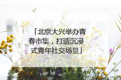 北京大兴举办青春市集，打造沉浸式青年社交场景