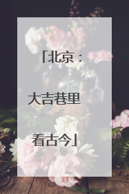 北京：大吉巷里看古今