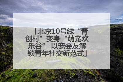 北京10号线“青创村”变身“萌宠欢乐谷” 以宠会友解锁青年社交新范式
