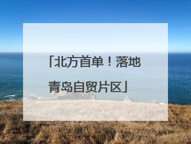 北方首单！落地青岛自贸片区