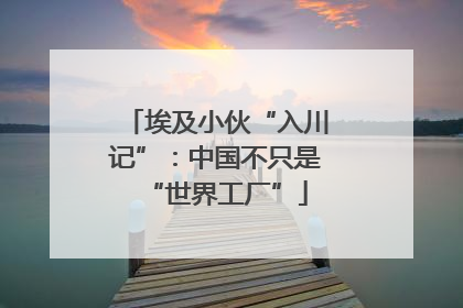 埃及小伙“入川记”：中国不只是“世界工厂”