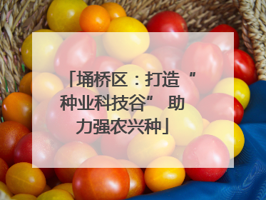 埇桥区：打造“种业科技谷” 助力强农兴种