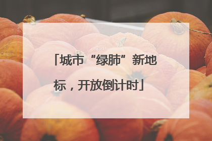 城市“绿肺”新地标，开放倒计时