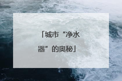 城市“净水器”的奥秘