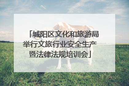 城阳区文化和旅游局举行文旅行业安全生产暨法律法规培训会