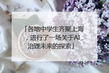 各地中学生齐聚上海，进行了一场关于AI治理未来的探索