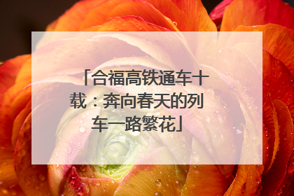 合福高铁通车十载：奔向春天的列车一路繁花