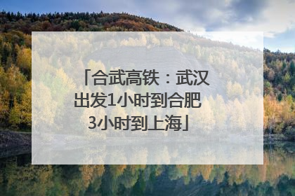合武高铁：武汉出发1小时到合肥3小时到上海