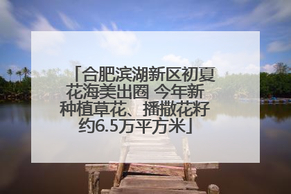 合肥滨湖新区初夏花海美出圈 今年新种植草花、播撒花籽约6.5万平方米
