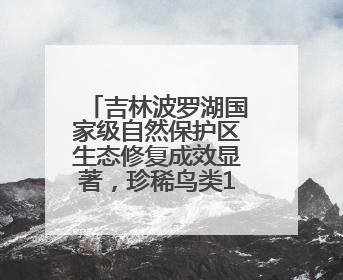 吉林波罗湖国家级自然保护区生态修复成效显著，珍稀鸟类10年增加5倍
