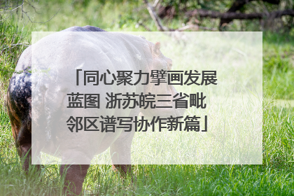 同心聚力擘画发展蓝图 浙苏皖三省毗邻区谱写协作新篇