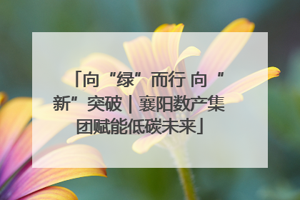向“绿”而行 向“新”突破｜襄阳数产集团赋能低碳未来