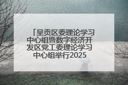 呈贡区委理论学习中心组暨数字经济开发区党工委理论学习中心组举行2025年第七次学习会议