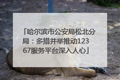 哈尔滨市公安局松北分局：多措并举推动12367服务平台深入人心