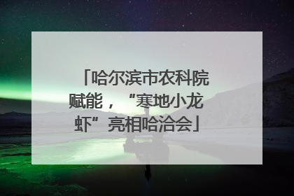 哈尔滨市农科院赋能，“寒地小龙虾”亮相哈洽会