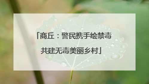 商丘：警民携手绘禁毒 共建无毒美丽乡村