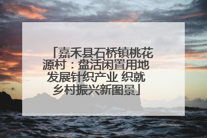 嘉禾县石桥镇桃花源村：盘活闲置用地发展针织产业 织就乡村振兴新图景