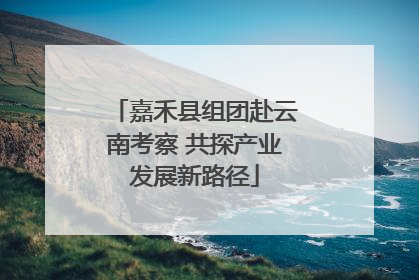 嘉禾县组团赴云南考察 共探产业发展新路径