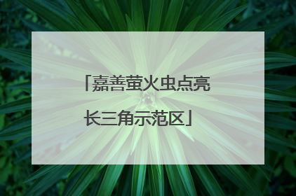 嘉善萤火虫点亮长三角示范区