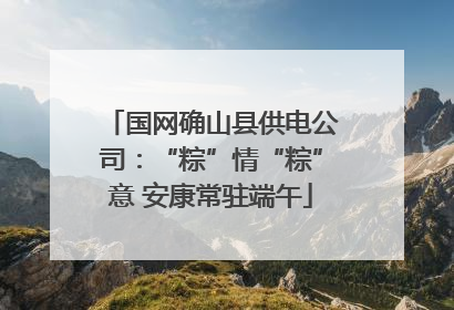 国网确山县供电公司：“粽”情“粽”意 安康常驻端午