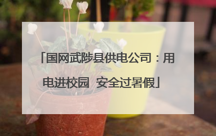 国网武陟县供电公司：用电进校园  安全过暑假