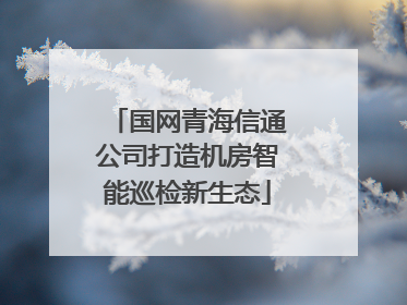 国网青海信通公司打造机房智能巡检新生态