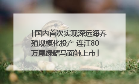 国内首次实现深远海养殖规模化投产 连江80万尾绿鳍马面鲀上市