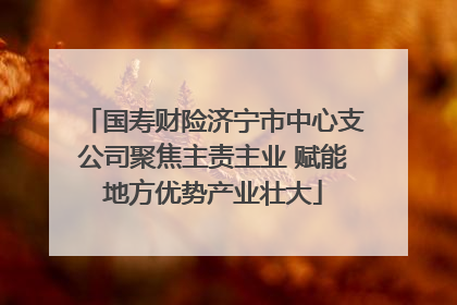 国寿财险济宁市中心支公司聚焦主责主业 赋能地方优势产业壮大