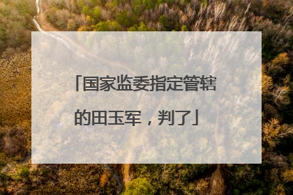 国家监委指定管辖的田玉军，判了