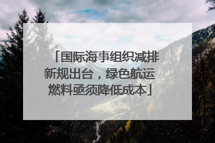 国际海事组织减排新规出台，绿色航运燃料亟须降低成本