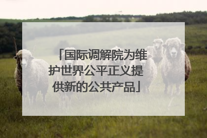国际调解院为维护世界公平正义提供新的公共产品