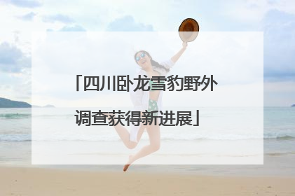 四川卧龙雪豹野外调查获得新进展