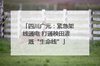 四川广元：紧急架线通电 打通秧田灌溉“生命线”