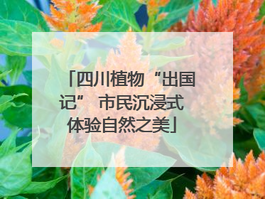 四川植物“出国记” 市民沉浸式体验自然之美