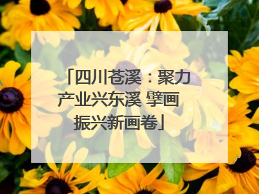 四川苍溪：聚力产业兴东溪 擘画振兴新画卷