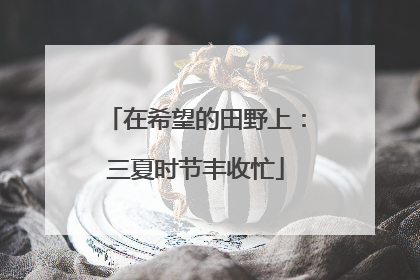 在希望的田野上：三夏时节丰收忙