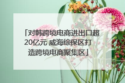 对韩跨境电商进出口超20亿元 威海综保区打造跨境电商聚集区