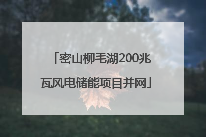 密山柳毛湖200兆瓦风电储能项目并网