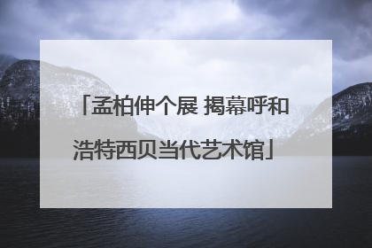孟柏伸个展 揭幕呼和浩特西贝当代艺术馆