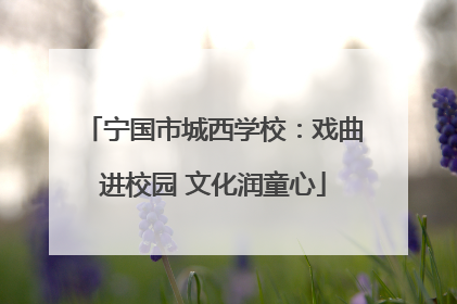 宁国市城西学校：戏曲进校园 文化润童心