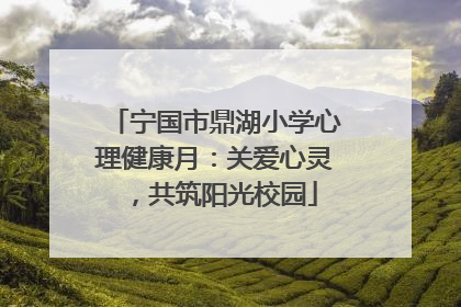 宁国市鼎湖小学心理健康月：关爱心灵，共筑阳光校园
