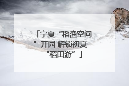 宁夏“稻渔空间”开园 解锁初夏“稻田游”