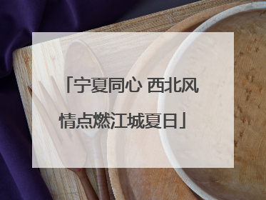 宁夏同心 西北风情点燃江城夏日
