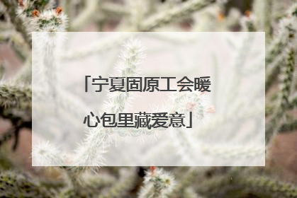 宁夏固原工会暖心包里藏爱意