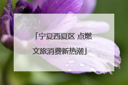 宁夏西夏区 点燃文旅消费新热潮