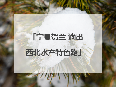 宁夏贺兰 淌出西北水产特色路