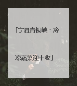 宁夏青铜峡：冷凉蔬菜迎丰收